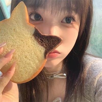 菊石