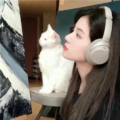 不许向上看